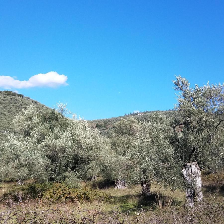 קאלה נרה Studios Zina מראה חיצוני תמונה